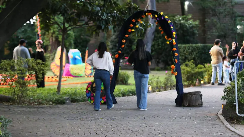 Organización Merequetengue Educare 2